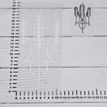 25 см * 11.5 см + 10 см * 4.7 см